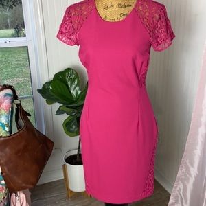 Etcetera Pink Lace Sheath Dress Sz 2